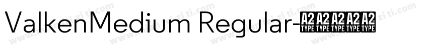 ValkenMedium Regular字体转换